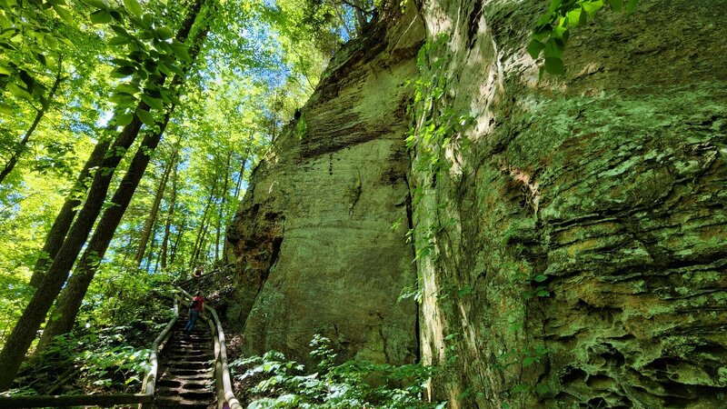 View from the trail