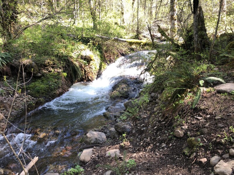 High flow at the swimming hole