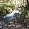 High flow at the swimming hole