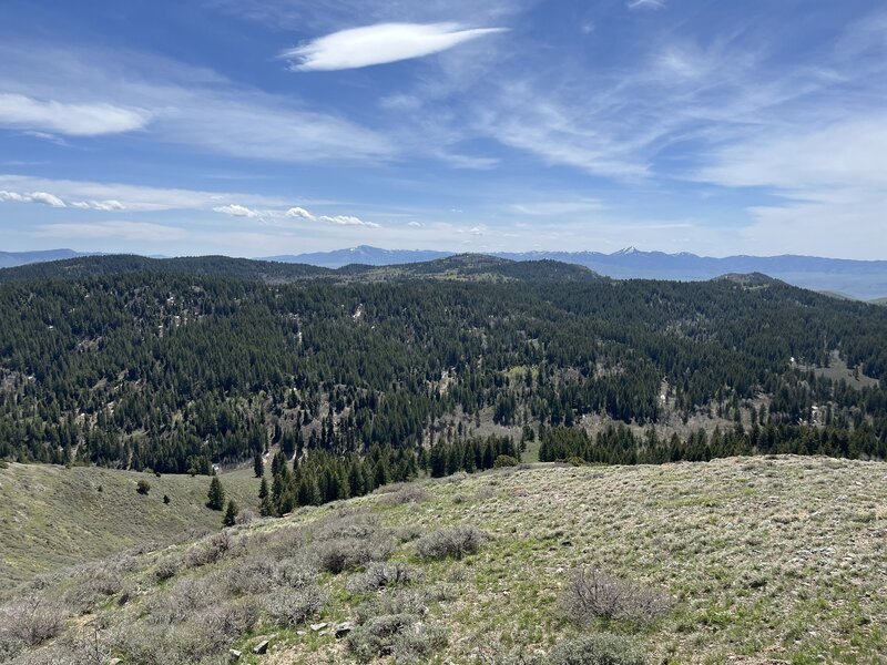 Beautiful view from the Gibson Mountain Trail.