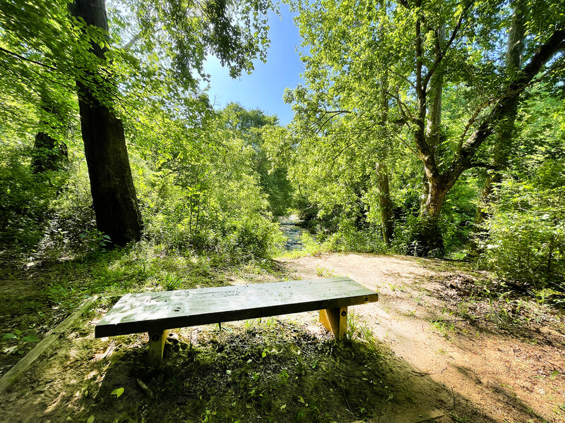 First Broad River Trail, Shelby, NC - Bench along the trail overlooking the First Broad River Trail.