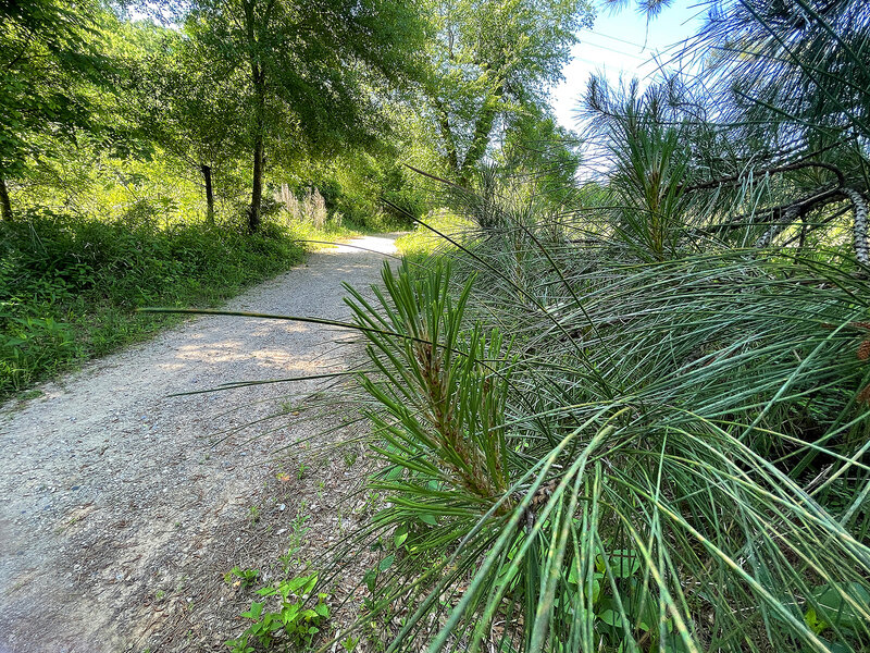 First Broad River Trail, Shelby, NC