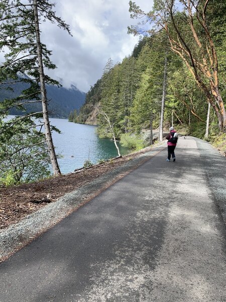 Pleasant trail for nearly any mobility. Walk, hike, or biking!