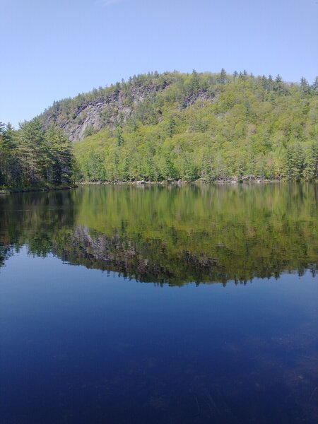 Looking out at Oversett Pond after arriving to the trail from the Sanborn Connection.