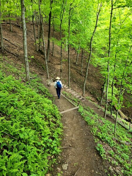 Descending the western end of the Lower Bluffside Trail