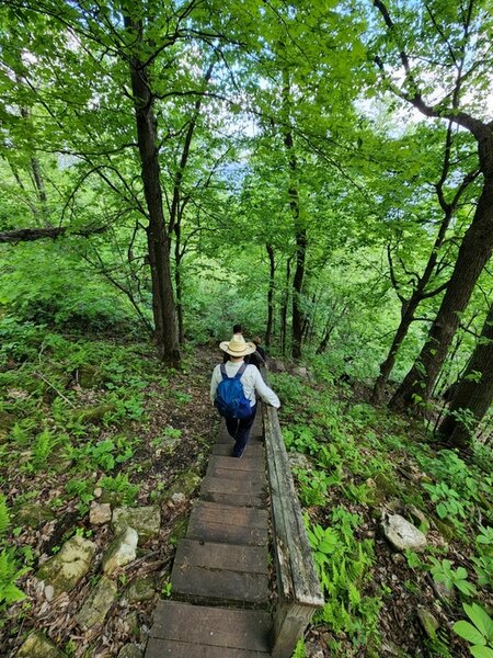 Descending stairs on the Lower Bluffside Trail.