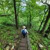 Descending stairs on the Lower Bluffside Trail.