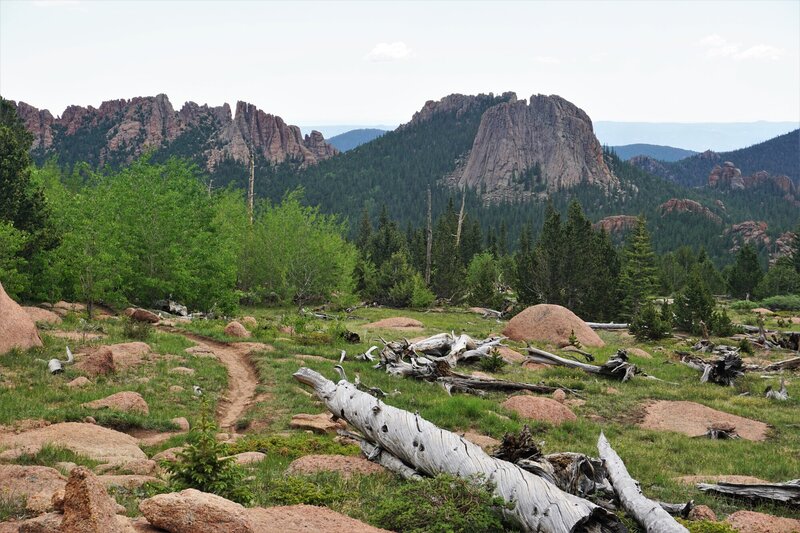 View of McCurdy tower from saddle.