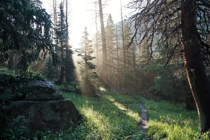 Sunlight passing through the mist on Macey Lakes trail after a storm.