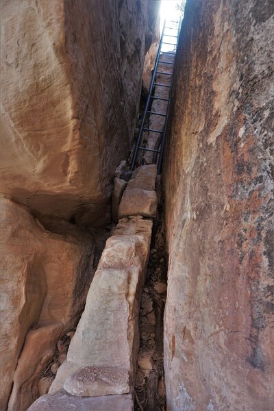 Ladder on the Peekaboo Canyon Trail.