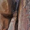 Ladder on the Peekaboo Canyon Trail.