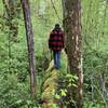 Foot bridge log crossing.