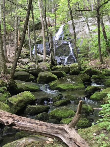 Rainbow Falls in the Walter - Newton Natural Area.