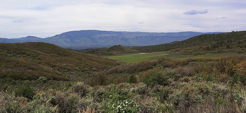 One section of the Fisher Creek trail passes through this meadow.