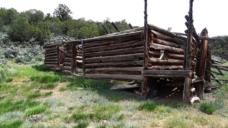 Abandoned ranch building along the Fisher Creek Trail.