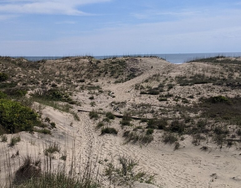 View of the ocean from the platform at the end of the boardwalk trail.