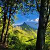 View from the trail and new Lookout Point.