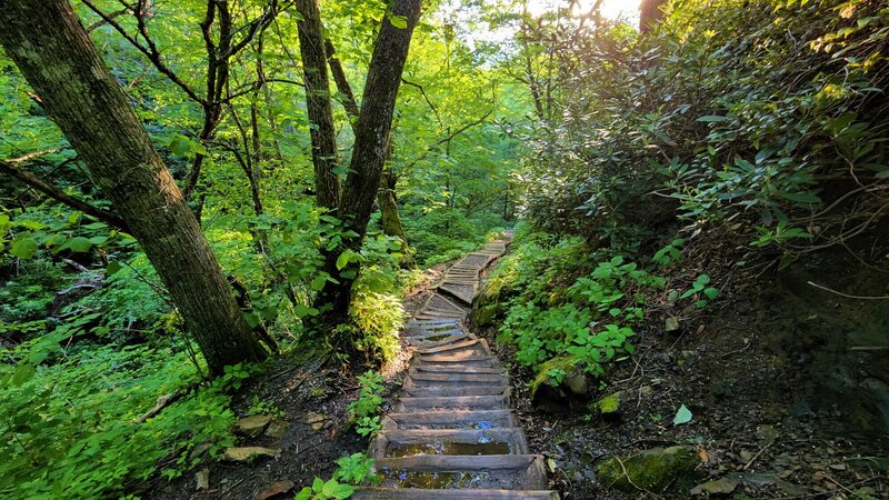 View from the trail