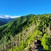 View from the trail