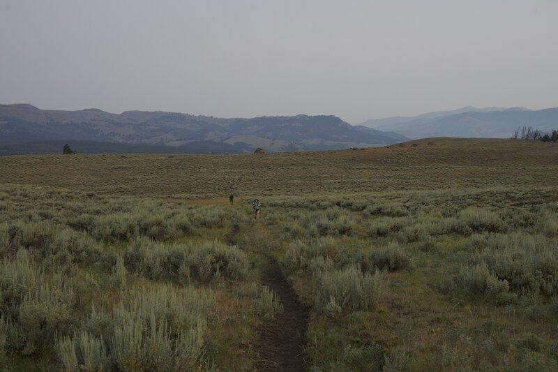 The trail climbs through open fields of Sage brush.