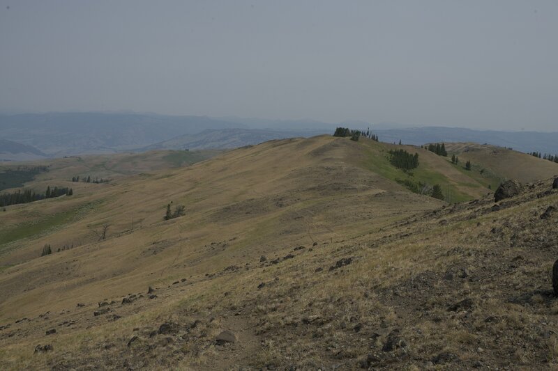 The trail climbs steadily up the ridge.  Its a gradual climb that offers fantastic views, even on a smoky day.