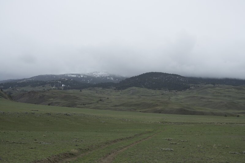 There are two tracks as you descend toward the road. In the spring, you may encounter, rain, snow, or sunshine, so be ready for any weather conditions.