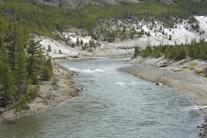 A view of the Yellowstone River from the view point just above the river.