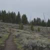 The trail climbs gently uphill on the edge of the forest toward Wraith Falls.