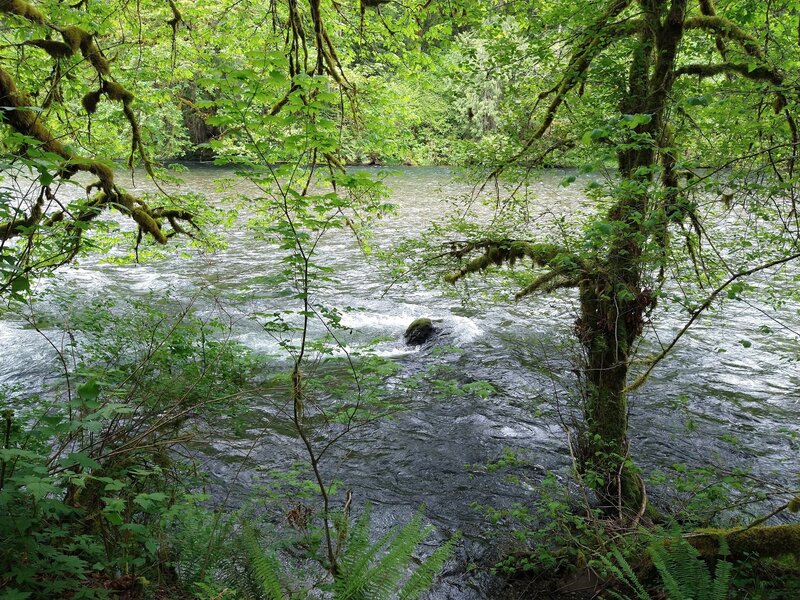 Green River at one of the lookout points.