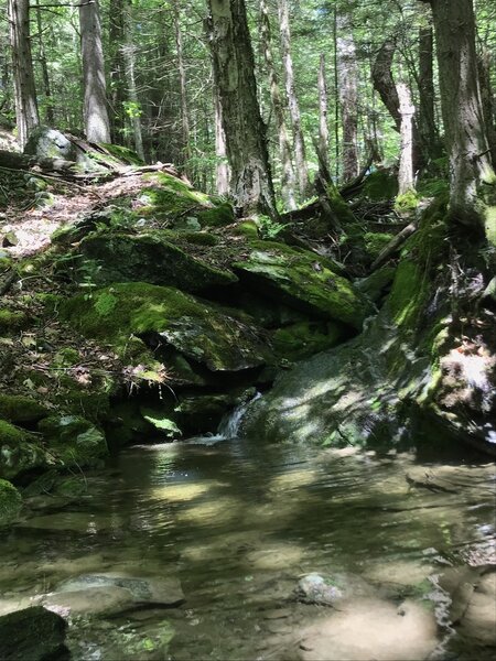 Small brook along the Daniels Mountain Trail.