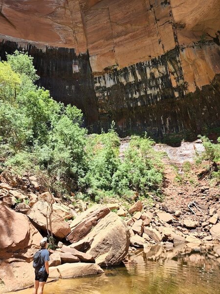 looking up the sheer walls at Upper Emerald Pools.