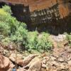 looking up the sheer walls at Upper Emerald Pools.