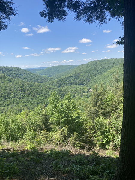 Overlook along the Link Trail