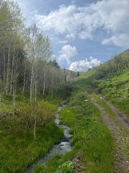 Moving up Midnight Creek