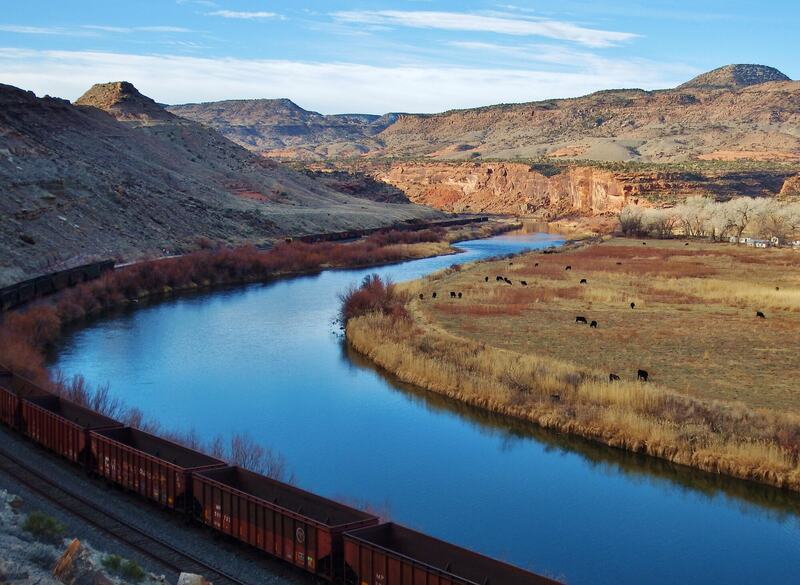 Train and cows along the Gunnison River.