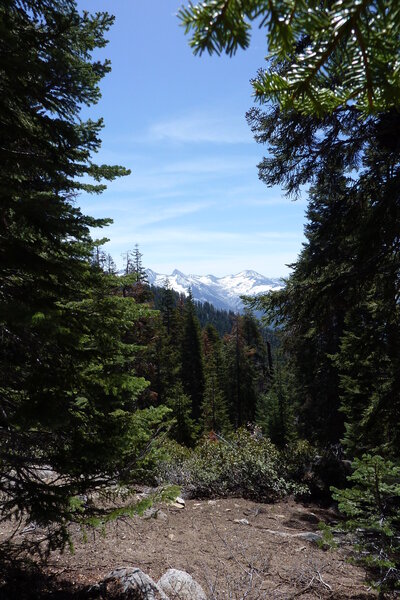 past Merten's campground on way to Alta Peak.