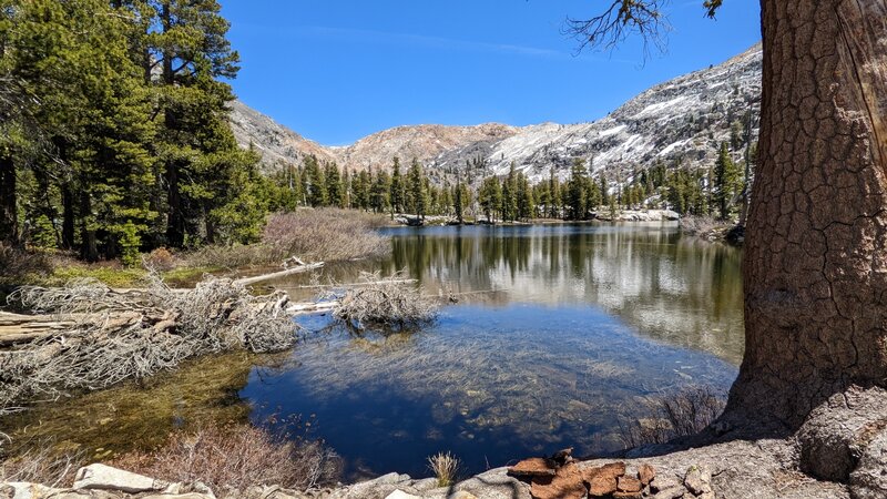 Maud lake, facing Rockbound Pass.