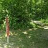 Shady Ridge tail marker near the trailhead.