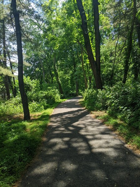 Lakeview path