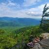 View from the trail