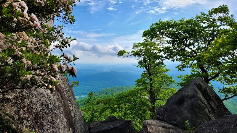 View from the trail