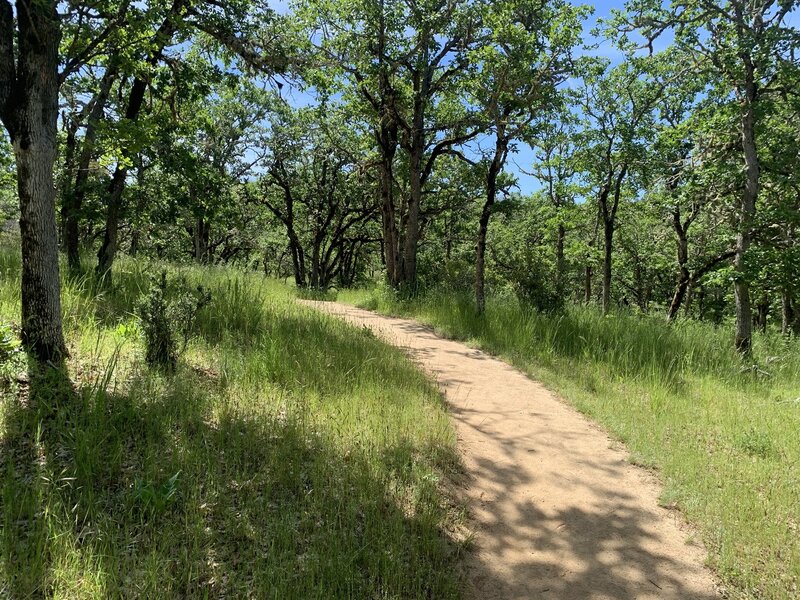 Quick morning hike