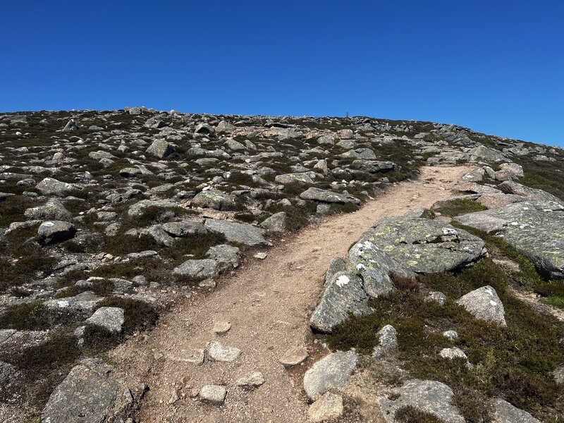 Rocky singletrack