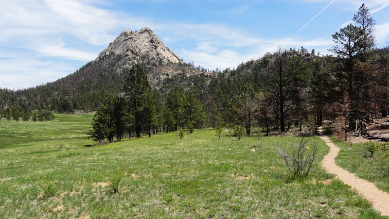 View of Greyrock from the Greyrock Meadows Trail across the Greyrock Meadow.