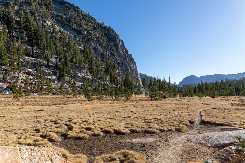 Between Kerrick Meadow and the Pacific Crest Trail.