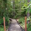 Orange trailhead at Krul Lake