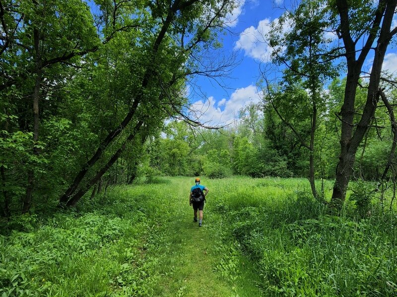 Through the woods along the River Trail