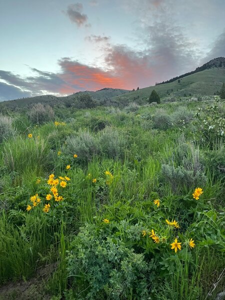 Sunrise over the Portneuf Range