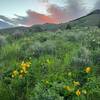 Sunrise over the Portneuf Range