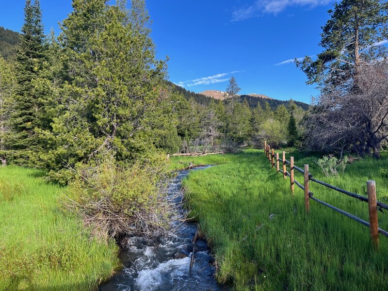 Pebble Creek Bridge on the Boundary Trail